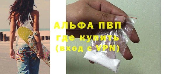 дмт Пересвет