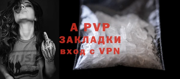 дмт Пересвет