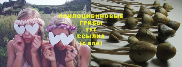 дмт Пересвет